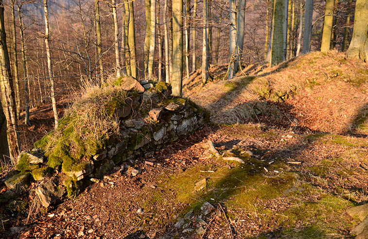 Zřícenina Hradu Nový Žeberk, Czech Republic (Czechia)